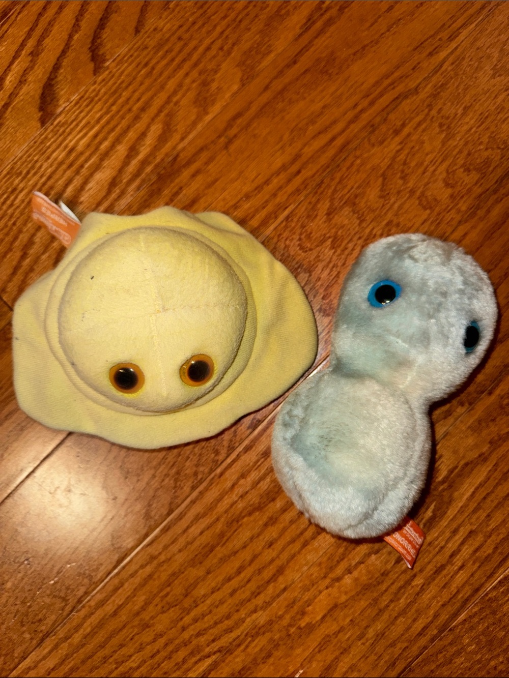 Giant Microbe The Clap Gonorrhea & Herpes
STD VD Virus Stuffed Plush Bundle of 2